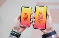 科技晚报:苏宁下调iPhone XS系列
